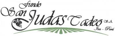 Logo - san judas tadeo.jpg